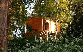 Cabane Dans Les Arbres Avec Bain Nordique